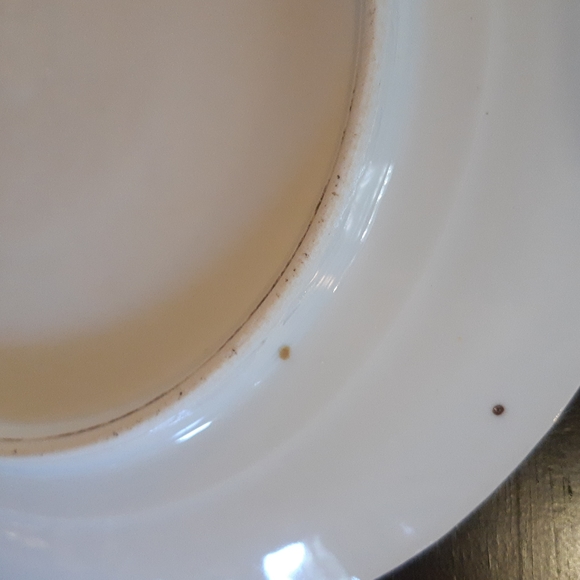 Germany Cake Plate Roses - Picture 8 of 12